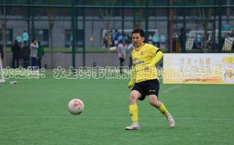 k1体育官网入口网址