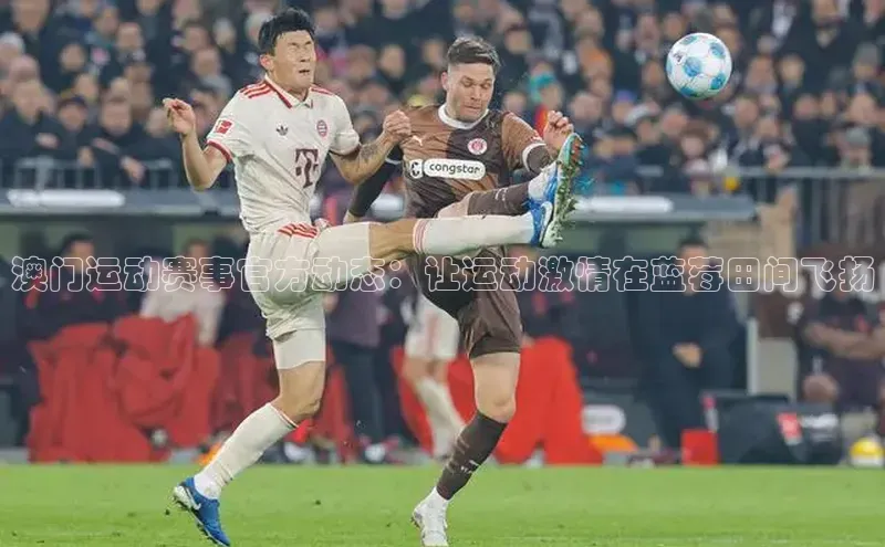 k1体育官网登录入口网址