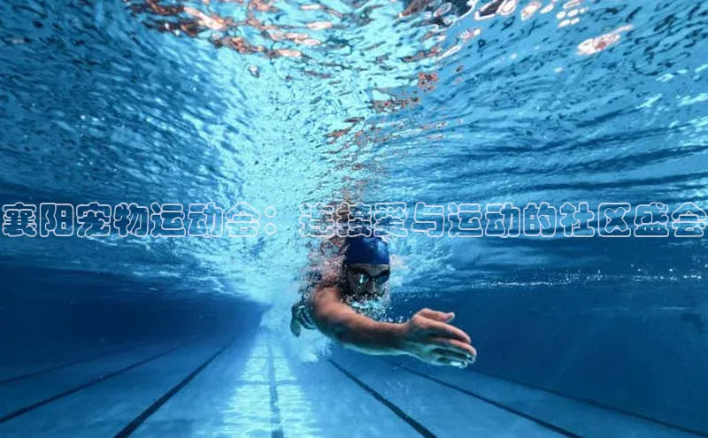 k1体育登录入口网页版