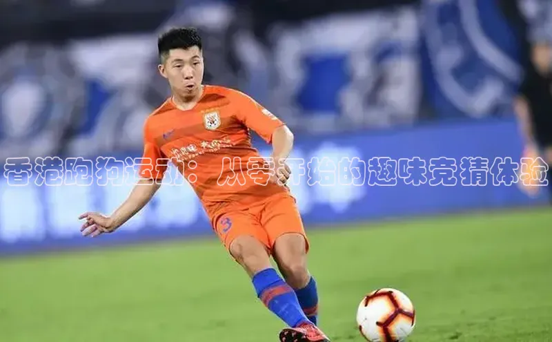 k1体育平台官网